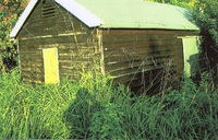 The wooden shop that was once in a front garden in Cuckoofield Lane